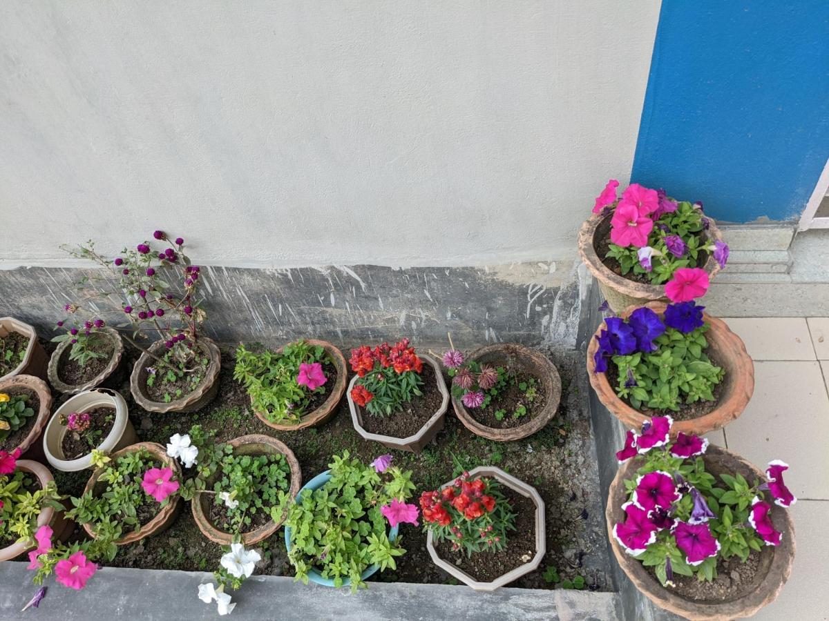 Nilachal Homes Guwahati Exteriör bild